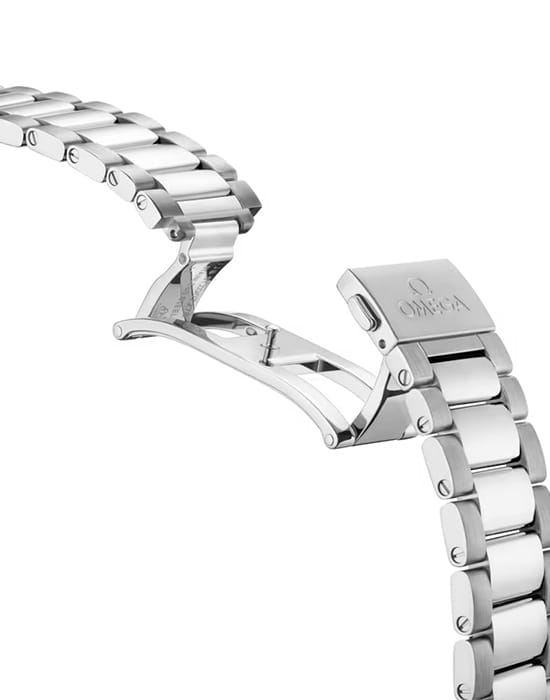 Omega Omega Seamaster Aqua Terra 220.10.41.21.02.001, seamaster швейцария мужские часы на браслете нержавеющая сталь боковой вид