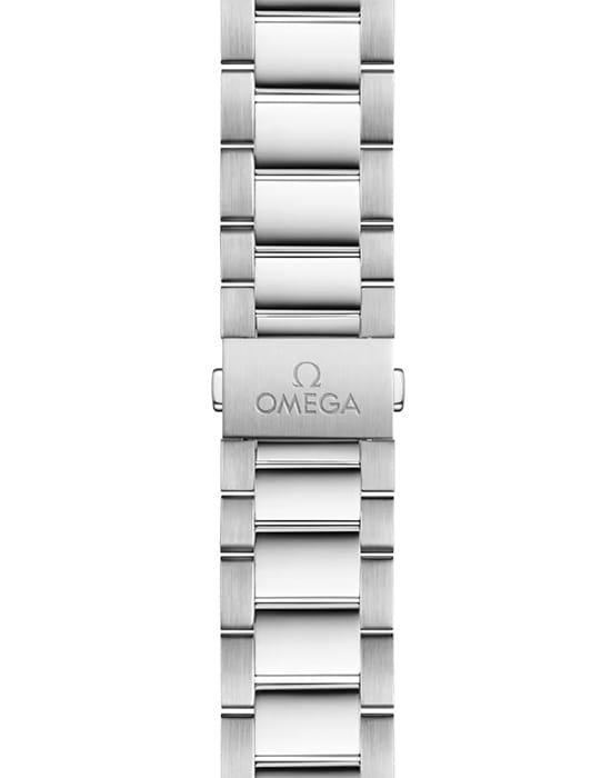 Omega Omega Seamaster Aqua Terra 220.10.41.21.02.001 Aqua Terra, наручные мужские часы фото под углом