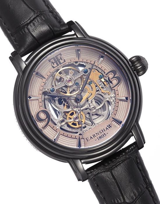 Earnshaw Earnshaw ES-8011-08 , наручные мужские часы фото под углом