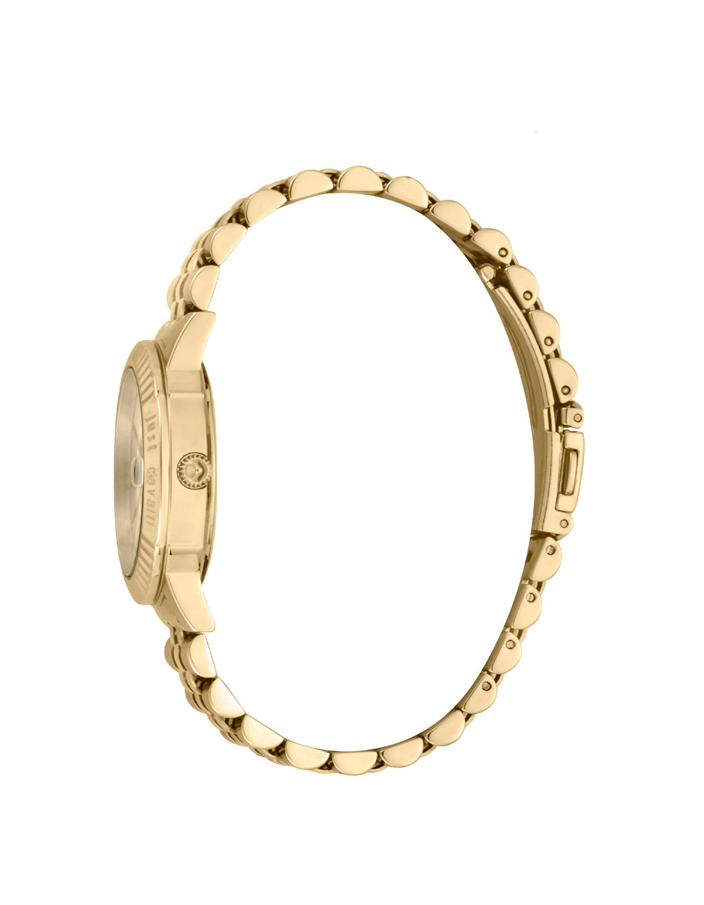 Just Cavalli Just Cavalli animalier JC1L171M0045,  италия женские часы на браслете нержавеющая сталь боковой вид