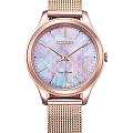 Часы Citizen Eco-Drive EM0508-80Y