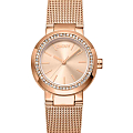 Часы DKNY Eastside Mini DK1L024M0035