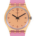 Часы Swatch Gent Biosourced Standard SO28O401