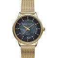 Часы Anne Klein Daily  3722BMGB