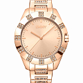Часы DKNY Park Ave Glitz DK1L019M0045