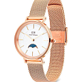 Часы Daniel Wellington Petite Lune Melrose DW00100773 фото 3