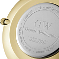 Часы Daniel Wellington Petite Evergold DW00100345 фото 3