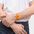 Часы Swatch New Gent Biosourced SO29O700 фото 4