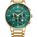 Часы Citizen Basic AN8223-54X