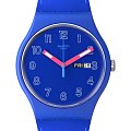 Часы Swatch New Gent Biosourced SO29N705 фото 2