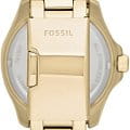 Fossil AM4510