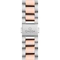 Часы Omega Seamaster Aqua Terra 220.20.34.20.60.001 фото 3