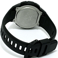 Часы Casio Collection WS-1000H-1A фото 2