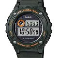 Часы Casio Collection W-216H-3BVDF (W-216H-3B)