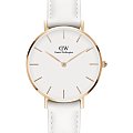 Часы Daniel Wellington Petite Bondi DW00100189