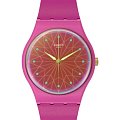 Часы Swatch Gent Biosourced Standard SO28P110
