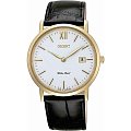 Часы Orient GW00002W (FGW00002W)