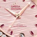 Часы Omega Seamaster Aqua Terra 220.25.34.20.60.001 фото 3