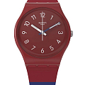 Часы Swatch Gent Biosourced Standard SO28R112