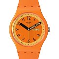 Часы Swatch New Gent Biosourced SO29O700