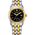 Часы Citizen Eco-Drive EW2299-50E