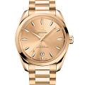 Часы Omega Seamaster Aqua Terra 220.50.38.20.08.001