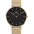 Часы Daniel Wellington Petite Evergold DW00100345