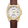 Часы Citizen Eco-Drive EC1183-16A