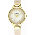 Часы Anne Klein Plastic  1408CRCR