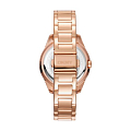 Часы DKNY Park Ave Glitz DK1L019M0045 фото 2