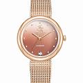 Часы Beverly Hills Polo Club BP3760X.440