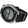 Часы Casio Collection AE-2100W-1A фото 2