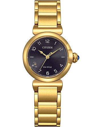 Citizen Citizen L EM1132-88H