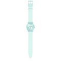 Часы Swatch Skin Classic Biosourced SS08G100-S14 фото 2