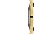 Часы Daniel Wellington Petite Evergold DW00100345 фото 4