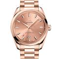 Часы Omega Seamaster Aqua Terra 220.50.38.20.10.001
