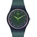 Часы Swatch Gent Biosourced Standard SO28N117