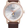Часы Citizen Basic Moonphase AK5003-05A