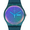 Часы Swatch New Gent Biosourced SO29N707 фото 2