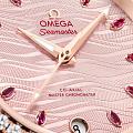 Часы Omega Seamaster Aqua Terra 220.28.34.20.60.001 фото 3