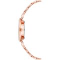 Часы Anne Klein Classic  3872RGRG фото 3