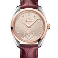 Часы Omega Seamaster Aqua Terra 220.23.38.20.59.001