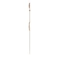Часы Swatch Skin Classic Biosourced SS08C102 фото 3