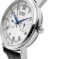 Часы Citizen Eco-Drive AO9000-06B фото 2