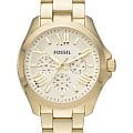 Fossil AM4510