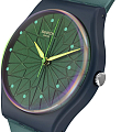 Часы Swatch Gent Biosourced Standard SO28N117 фото 2