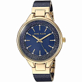 Часы Anne Klein Classic  1408NVNV