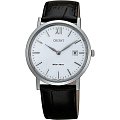 Часы Orient GW00005W (FGW00005W)