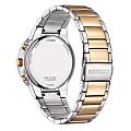 Часы Citizen Eco-Drive AT2244-84L фото 2
