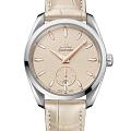 Часы Omega Seamaster Aqua Terra 220.13.38.20.09.001
